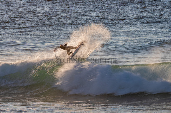 Avalon_200824_06-32-06_0521