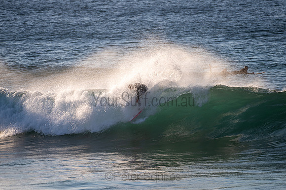 Avalon_200824_06-37-15_0576