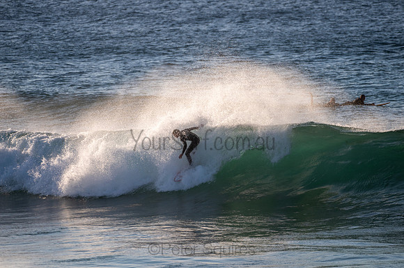 Avalon_200824_06-37-15_0577