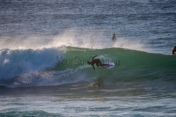 Avalon_200824_06-50-44_0797