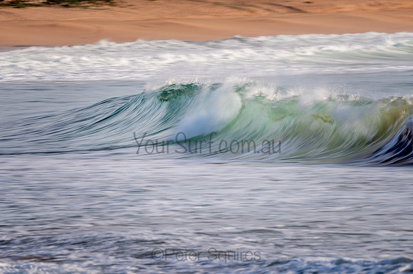Palm_Beach-200825-07.37-146
