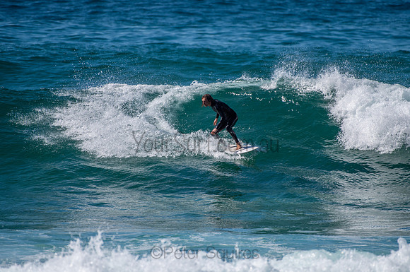 Whale_Beach_200825_11-01-32_0096
