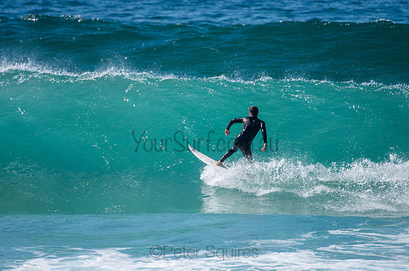 Whale_Beach_200825_11-04-08_0121