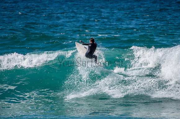 Whale_Beach_200825_11-23-45_0239