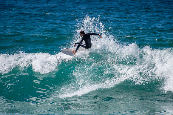 Whale_Beach_200825_11-23-45_0241