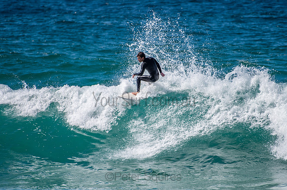 Whale_Beach_200825_11-23-45_0242