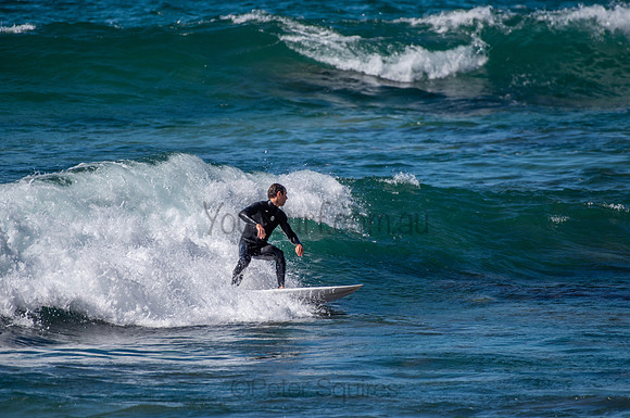 Whale_Beach_200825_11-27-38_0260