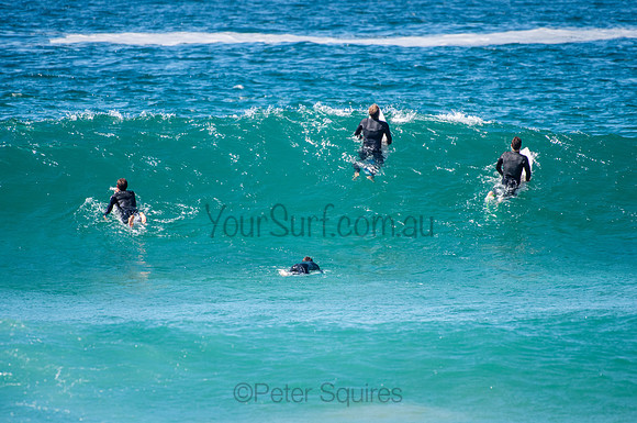 Whale_Beach_200825_11-30-47_0269