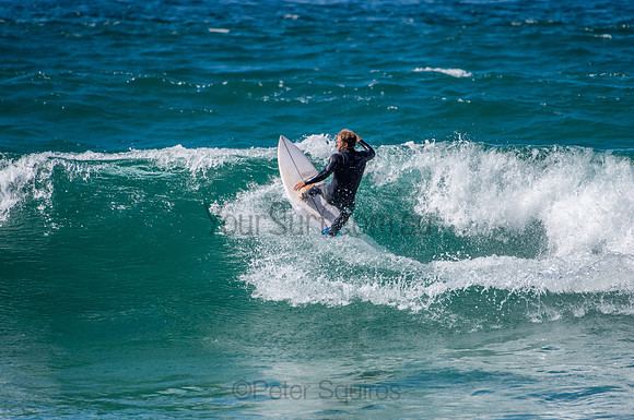 Whale_Beach_200825_11-32-06_0276