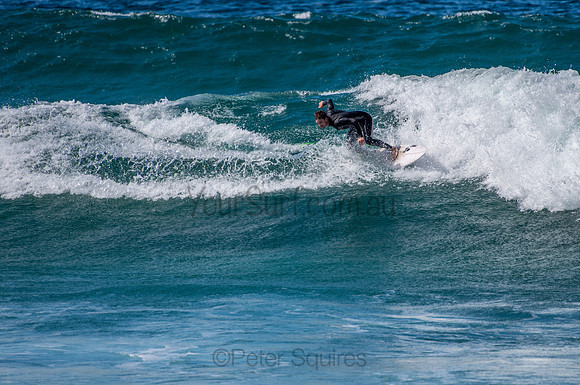 Whale_Beach_200825_11-37-24_0320