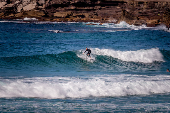 Avalon_200827_09-38-31_0293