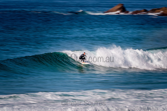 Avalon_200827_09-38-47_0295