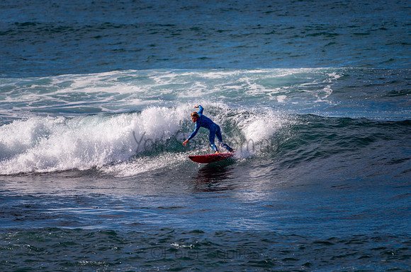 Avalon_200827_09-29-34_0232