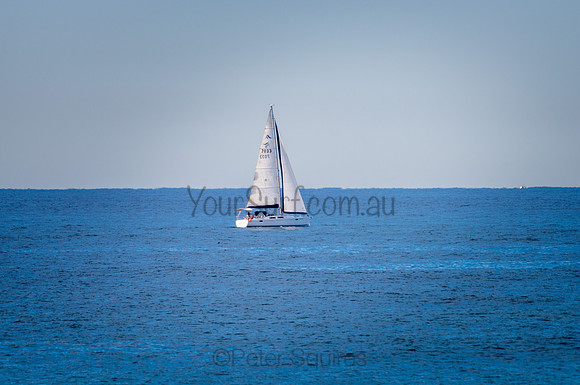 Avalon_200827_09-32-43_0255