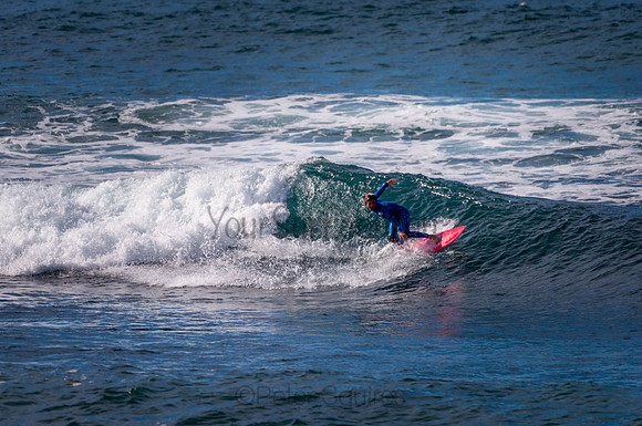 Avalon_200827_09-33-37_0257