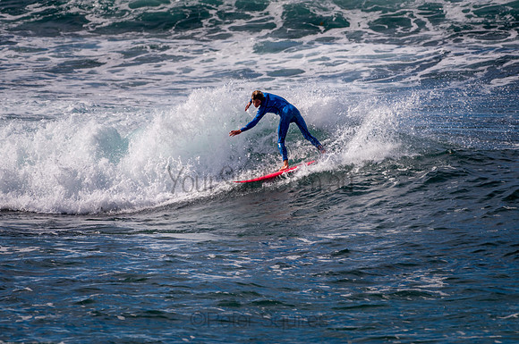 Avalon_200827_09-33-43_0267