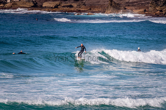 Avalon_200827_09-37-16_0278