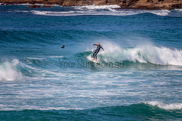 Avalon_200827_09-37-17_0279