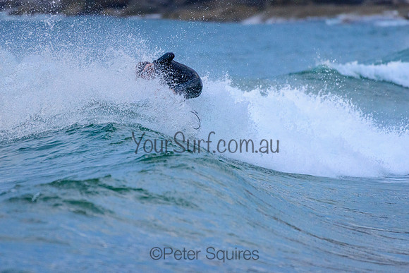 Whale_Beach_211220_061907_0029