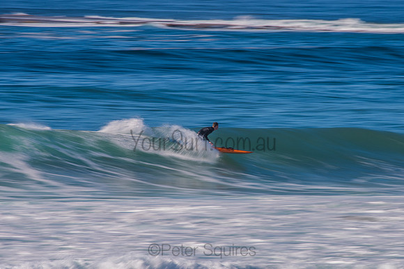 Avalon_200829_08-40-57_0147