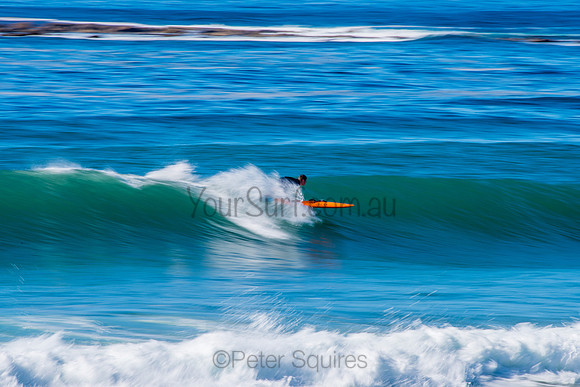 Avalon_200829_09-25-31_0479