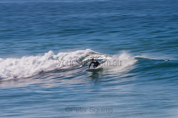 Avalon_200829_09-57-43_0648
