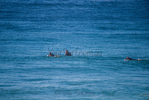 Avalon_200829_08-31-59_0027
