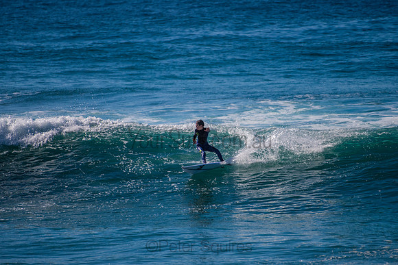 Avalon_200829_09-42-49_0591