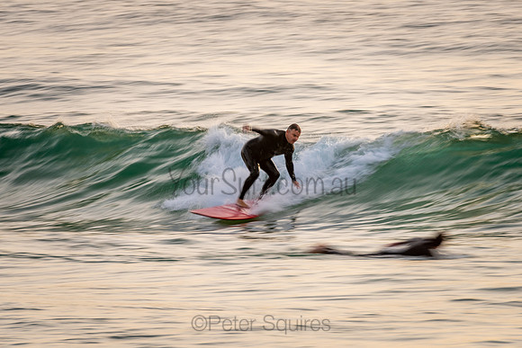 Palm_Beach_200902_06-58-27_0331