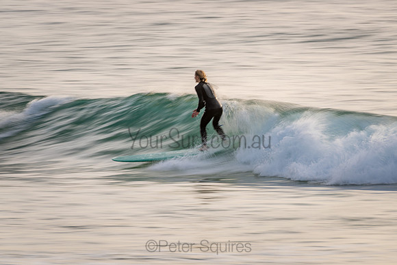 Palm_Beach_200902_07-26-45_0890