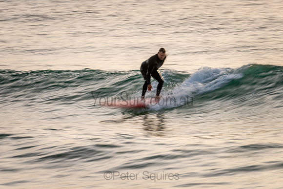 Palm_Beach_200902_07-28-36_0934