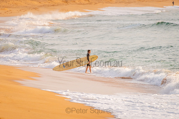 Palm_Beach_200902_07-12-42_0678