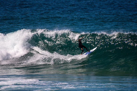 Avalon_200826_12.01.50_0001