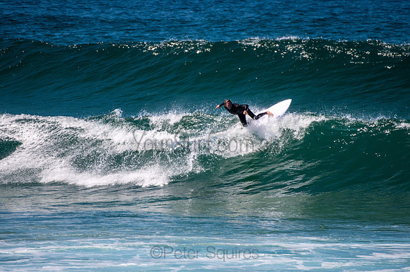 Avalon_200826_12.05.14_0013