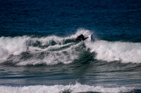Avalon_200826_12.18.29_0031