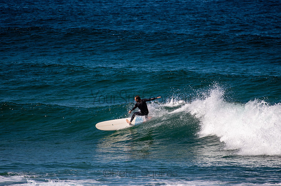 Avalon_200826_12.44.36_0099