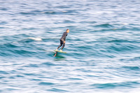 Whale_Beach_200908_16.27.54_0019