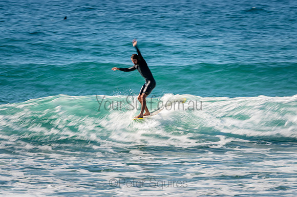 Whale_Beach_200912_08-47-20_0468