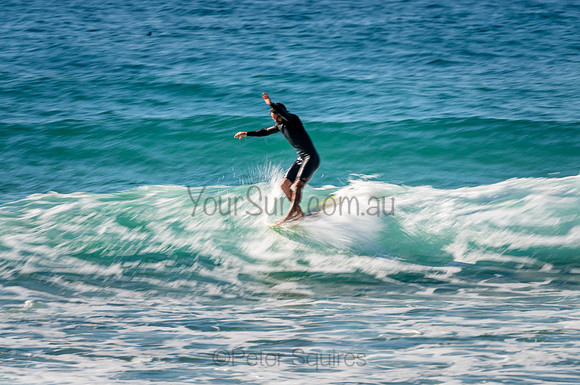 Whale_Beach_200912_08-47-21_0469