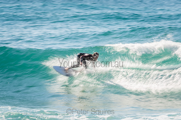 Whale_Beach_200912_08-55-37_0552
