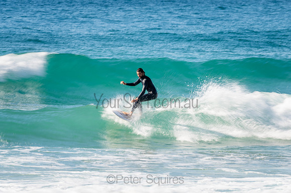 Whale_Beach_200912_08-56-33_0569