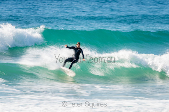Whale_Beach_200912_08-56-34_0570