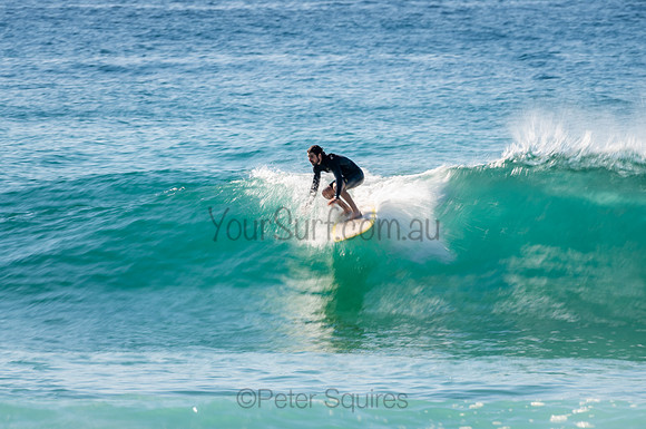 Whale_Beach_200912_08-58-24_0595