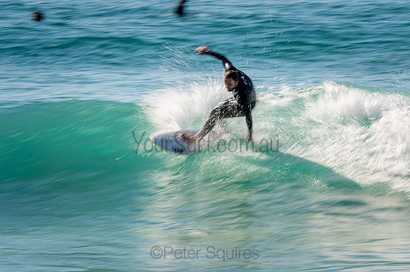 Whale_Beach_200912_08-59-17_0605