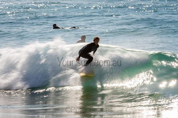 Whale_Beach_200912_09-04-26_0664