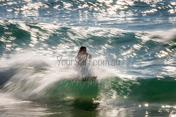 Whale_Beach_200912_09-08-34_0684