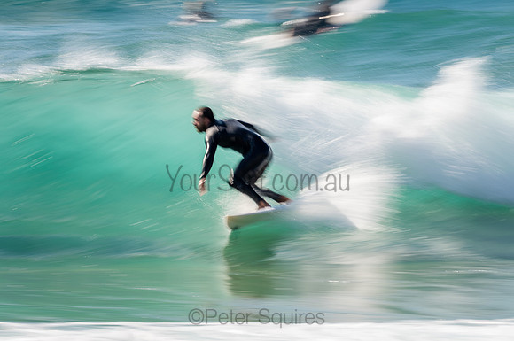 Whale_Beach_200912_09-09-54_0694