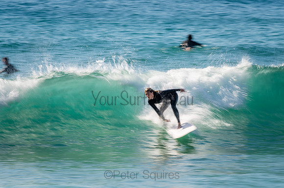Whale_Beach_200912_09-16-17_0763