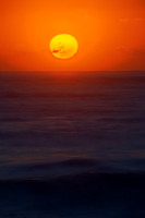 Whale_Beach_200916_05-56-33_0036E