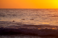 Whale_Beach_200916_06-01-19_0046